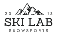 Brand Snowsports Sticker by SkiLab