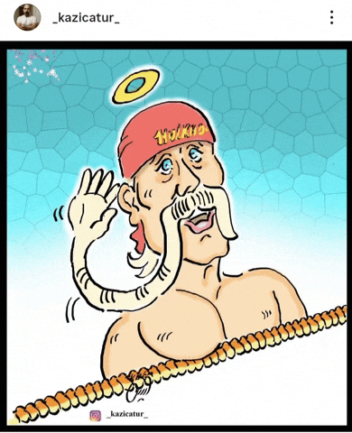 Wwe Wrestler GIF