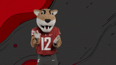 Washington State Go Cougs GIF by WSU Pullman