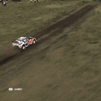Ford Car GIF by FIA World Rally Championship