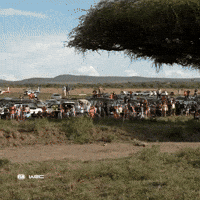 Flying Slow Motion GIF by FIA World Rally Championship