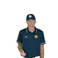 Clarke Golf Sticker by Clarke University