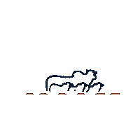 Abs Transferencia Sticker by Mader Embriões In Vitro