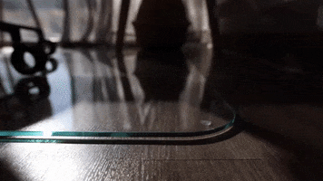 Work From Home Computer GIF by Vitrazza