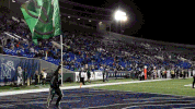 football flag GIF by USF Athletics