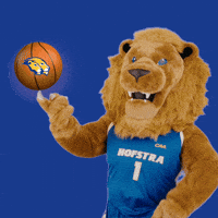 New York Basketball GIF by Hofstra University