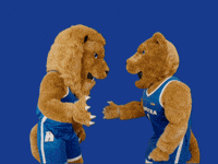 New York Basketball GIF by Hofstra University