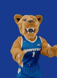 New York Basketball GIF by Hofstra University