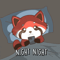 Good Night Sleep GIF
