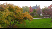 university of vermont fall GIF