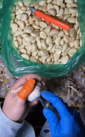 comment-economiser giphyupload GIF