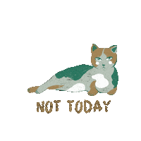 Cat Not Today Sticker