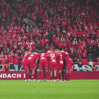 Football Soccer GIF by Widzew Łódź
