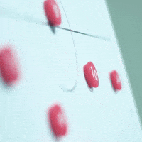 Football Soccer GIF by Widzew Łódź