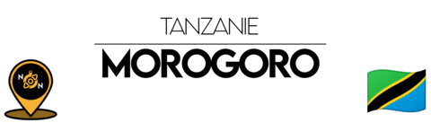 Nn Sticker by NoirNomads