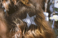 Art Love GIF by Grace Ives