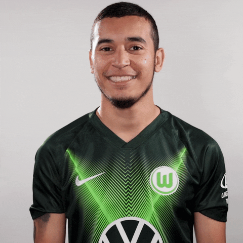 Soccer Bundesliga GIF by VfL Wolfsburg