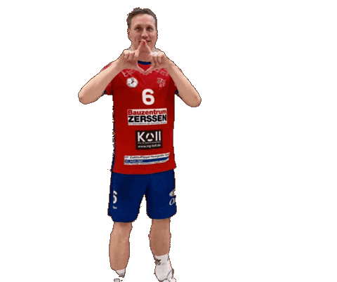 Herz Sticker by hsg swrd