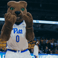 Pitt Panthers Panther GIF by Pitt Men's Basketball