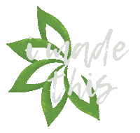 Seminole Heights Diy Sticker