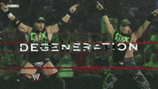 triple h wrestling GIF by WWE