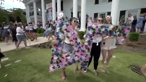 giphygifmaker rush sorority recruitment mississippi GIF