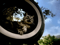 Reaching Out Big Boi GIF by Outkast