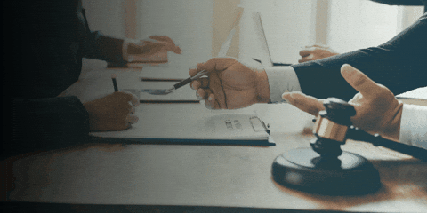 andrewbyerfl giphygifmaker giphyattribution GIF