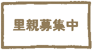 Frame Border Sticker