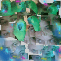 GIF by Boopy Club