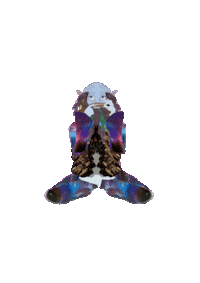 Mongolia Sticker by Multiverso do Gnomo