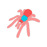 Spider Sticker by Appel à Tous