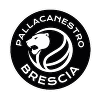 Serie A Basketball Sticker by Pallacanestro Brescia