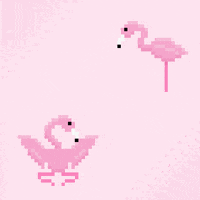 Flamingo GIF