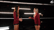 College Athletics Ncaa GIF by Elon Phoenix