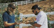 romeandduddy music music video nature confused GIF