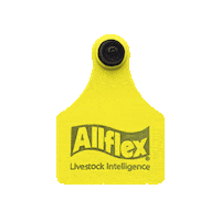 Allflex brinco identificação animal allflex brinco animal Sticker