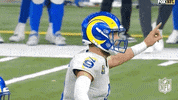 National Football League GIF by NFL