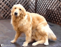 GIF by Demic