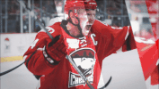 hockey GIF by Charlotte Checkers