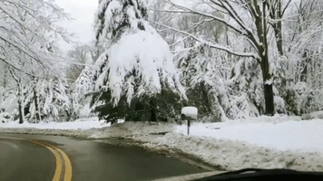 Thousands Still Without Power After Winter Storm Dumps Snow on Ohio