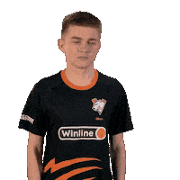 Esports Fame Sticker by Virtus.pro