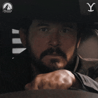 Happy Paramount Network GIF by Yellowstone