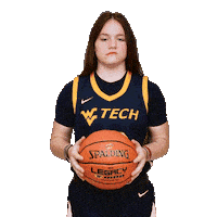 Womens Basketball Sticker by WVU Tech Golden Bears