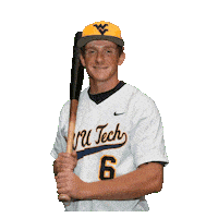 Baseball Sticker by WVU Tech Golden Bears