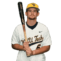 Baseball Sticker by WVU Tech Golden Bears
