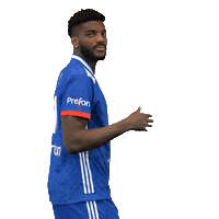 Dika Mem Jersey Sticker by Fédération Française de Handball