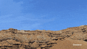 sport bike GIF by Outside TV