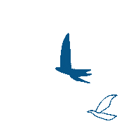 Blue Birds Bird Sticker by LILLYDOO