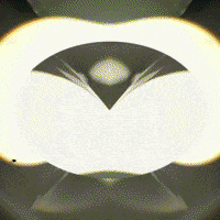 Art Love GIF by John Fogarty